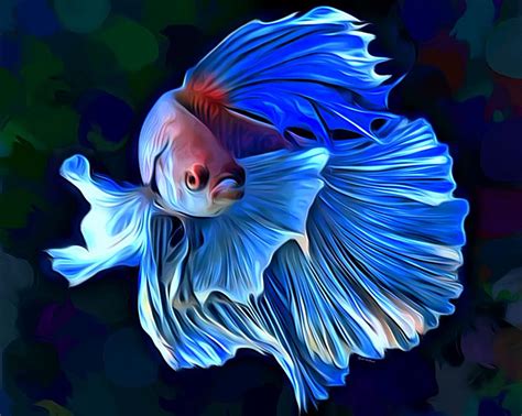 Betta Fish 1 Portrait Digital Art By Scott Wallace