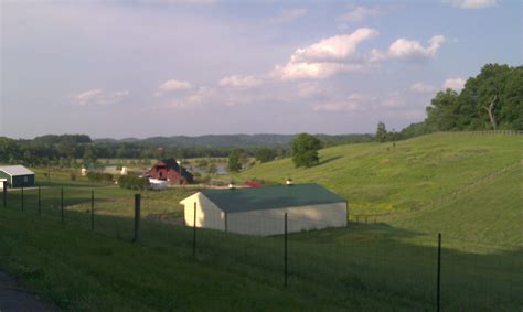 Saint Louis Craigslist Antiques | Walden Wong