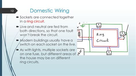 Explain Domestic Electric Circuit With Diagram Class 10 Wiring