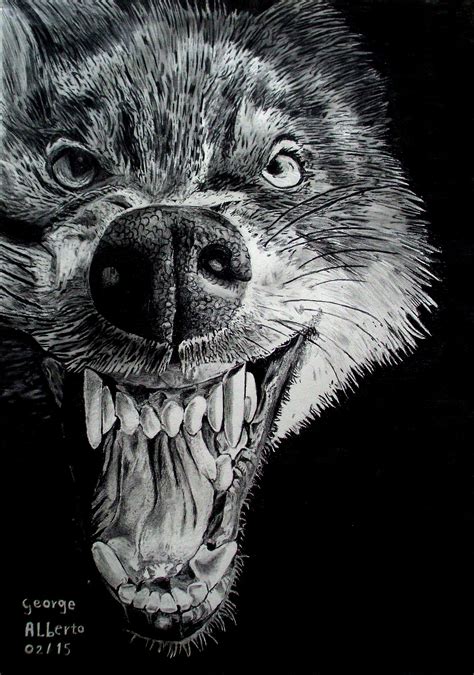 Wolf Realistic Pencil Drawing Realistic Pencil Drawings Wolf Drawing