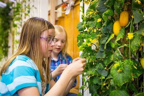 Why Teach Hydroponics In Classrooms Zipgrow Inc