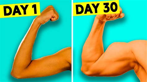 Get Bigger Biceps In 30 Days With 8 Biceps Workout Exercise Youtube