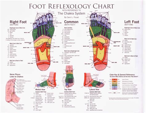 Reflexology The Feet Are A Mirror Of Health Health And Nutrition