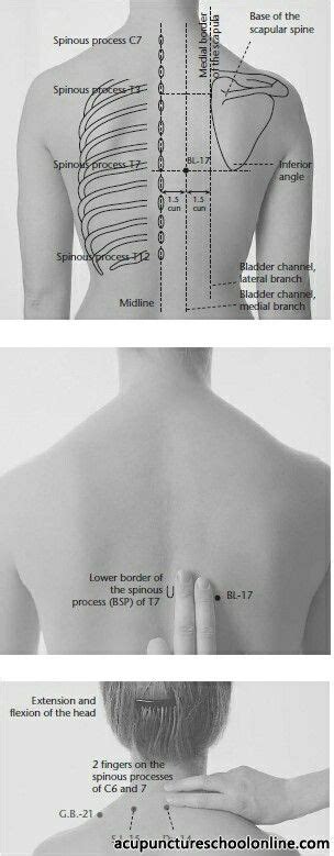 Acupuncture Point Bl17 Geshu Acupuncture Points Acupuncture Accupuncture