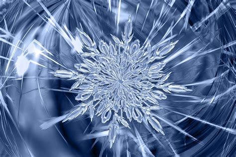 Free Photo Ice Crystal Ice Form Frost Free Image On
