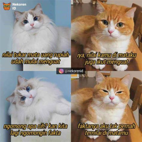 Salah satunya adalah meme kesialan yang sedang dilanda kucing dan ternyata bisa dilansir brilo.net dari berbagai sumber, rabu (13/5), ini dia sepuluh meme kucing yang sedang terkena sial. Nyesek! 10 Meme Kucing Oren ala Sadboy Ini Kocak Sekaligus Kasihan