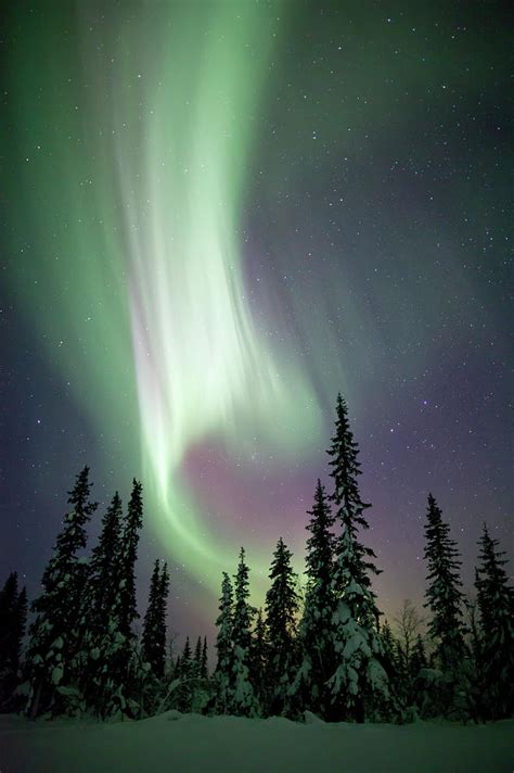 Aurora Borealis Winter Scene Photograph By Justinreznick Fine Art America