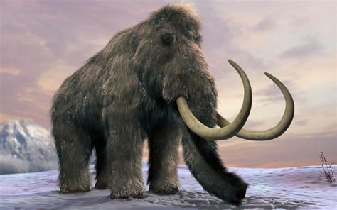 Til That In 2017 Harvard Scientists Said They Will Bring Back Wooly Mammoths Within Two Years