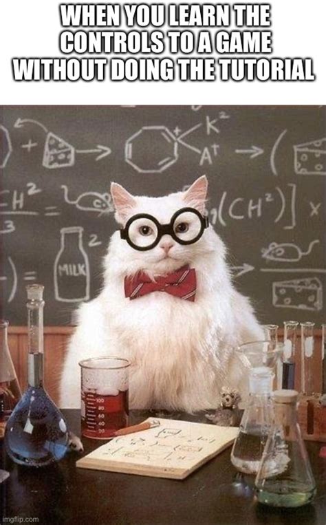 Chemistry Cat Imgflip