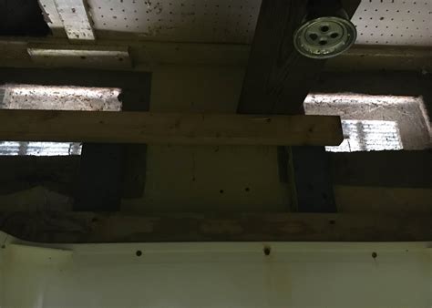 Bowdish Lake Camping Area Camping | The Dyrt