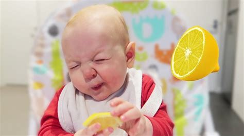 Cute Babies Eating Lemons For The First Time Cute Baby Video YouTube