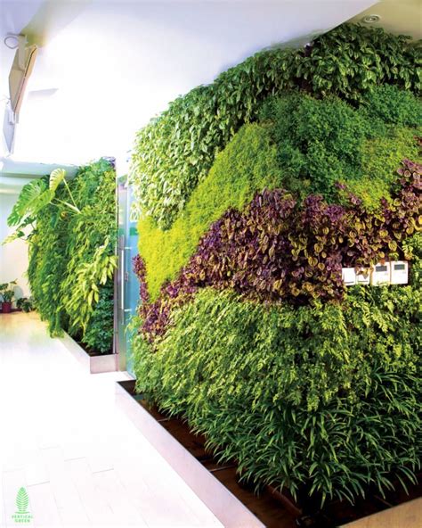 Hygro Wall An Innovative Vertical Garden System Vertical Green