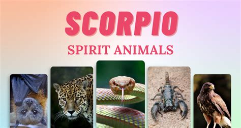 7 Scorpio Spirit Animals That Embody This Zodiac Sign So Syncd