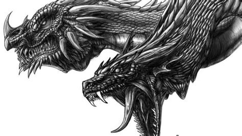 If you want to learn how to draw a dragon, you will love these easy dragon drawing tutorials. 32 Awesome Dragons Drawings And Picture Art Of The ...