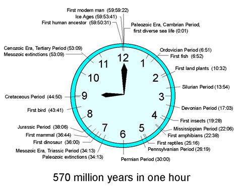 1000 Images About History Time Clocks On Pinterest Cosmic Calendar