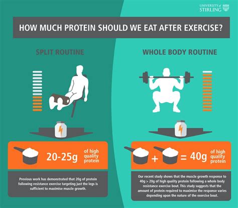 How Much Protein Does A Body Builder Needs AMAZING BODYBUILDING