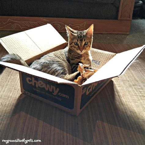 And not just any box, the best cat subscription box! Delivery from Chewy - I And Love And You Variety Pack ...