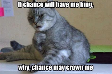 Animals Auditioning For Shakespeare Funny Cat Pictures Crazy Cats