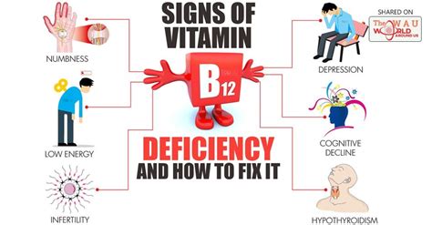 Multivitamin/mineral supplements typically contain vitamin b12 at doses ranging from 5 to 25 mcg. Know the Signs of B12 Deficiency and Top B12 Benefits ...