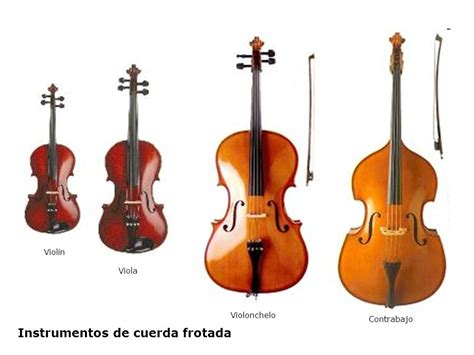 Violín Derivados Del Violin