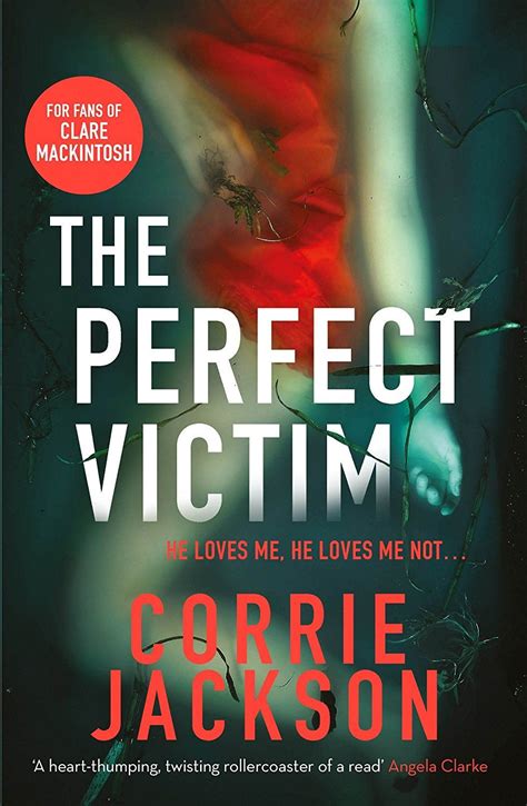 The Perfect Victim A Picture Tells A Thousand Lies The Sophie Kent Series Ebook Corrie