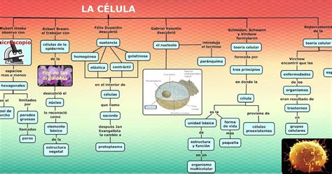 Biología III Mapa conceptual La célula Un concepto en evolución Sexiz Pix