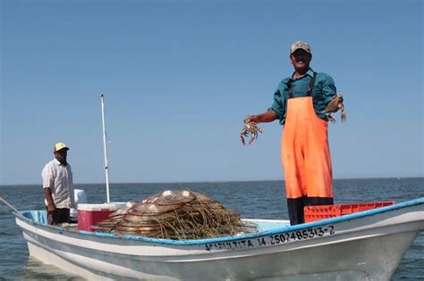 90 De La Pesca En México Sigue Siendo Artesanal Imagen