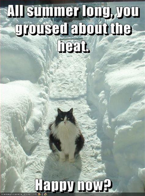 Lolcats Cold Page 3 Lol At Funny Cat Memes Funny Cat Pictures