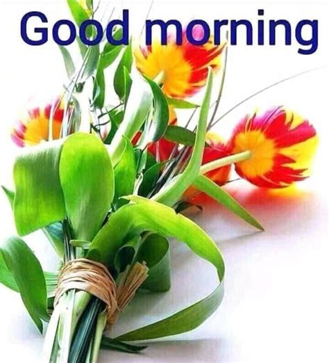 Pin By Dinesh Kumar Pandey On Good Morning Good Morning Happy Sunday Good Morning Flowers