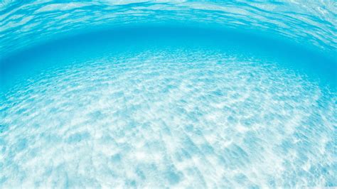 An Underwater View Of Crystal Clear Tropical Water Ultra Hd Desktop Background Wallpaper For 4k
