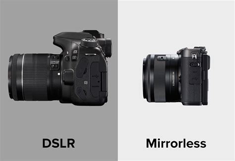 Mirrorless Vs Dslr Cameras Which Is Right For You Canon Australia