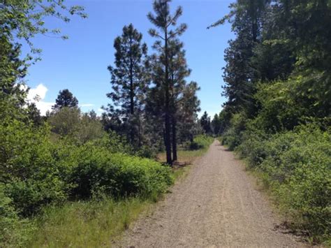 10 Best Trails And Hikes In Cle Elum Alltrails