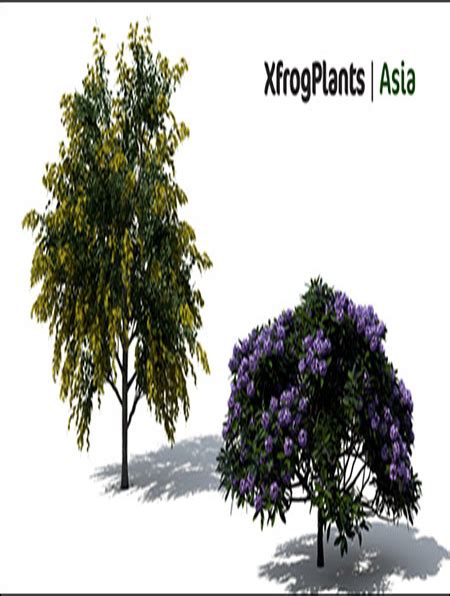 Xfrogplants Asia