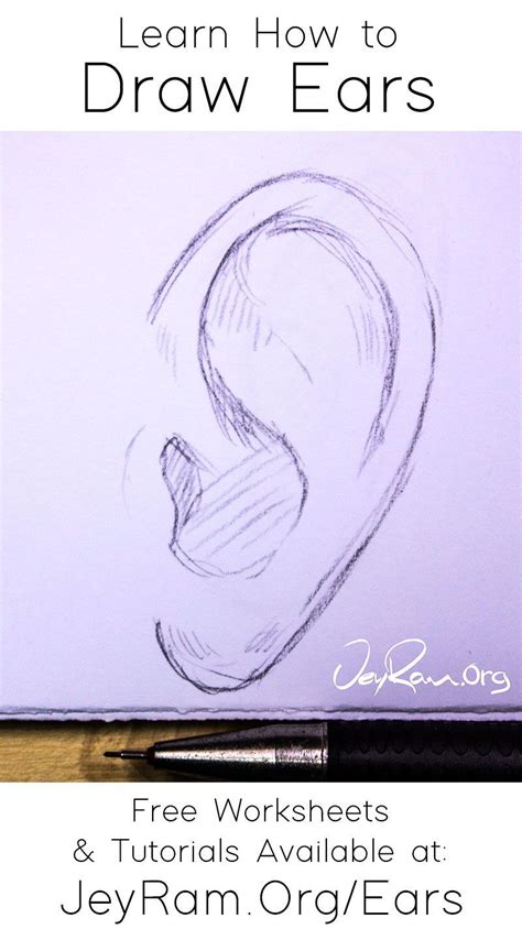 How To Draw Ears How To Draw Ears Drawing For Beginners Drawing Ears