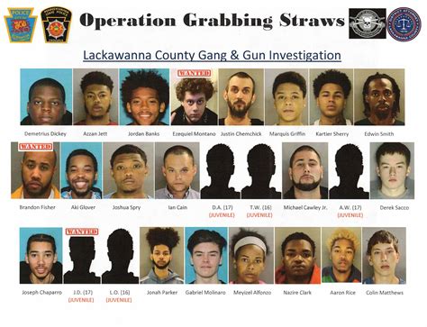 Scranton police seize dozens of firearms in two-month-long operation