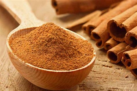 Cinnamon Powder At Best Price In Ahmedabad Jodhpuri Spices