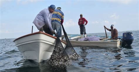 Refrenda Sinaloa Su Vocación Productiva En Sector Pesquero El Debate