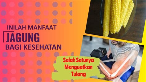 Namun dua metode ini butuh waktu baca juga: JADI HAL SEPELE, TAPI INILAH 5 MANFAAT JAGUNG REBUS YANG ...