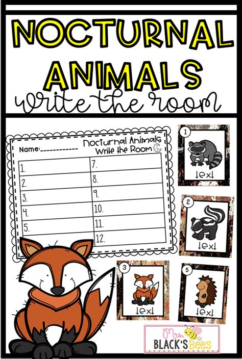 These Nocturnal Animals Themed Write The Room Cards Are Editable