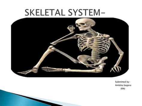 Skeletal System Structure And Functions Ppt