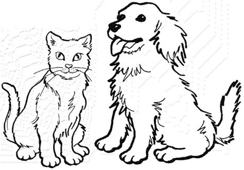 Check out our collection of free animal coloring pages. 17 Best images about Cat Templates to Zentangle on ...