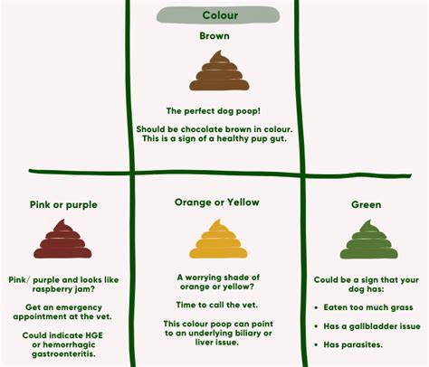 Dog Poo Colour Chart