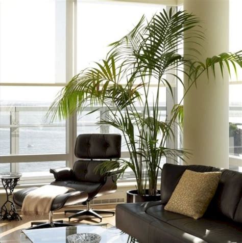 25 Beautiful Living Room Plants Ideas For The Living Room