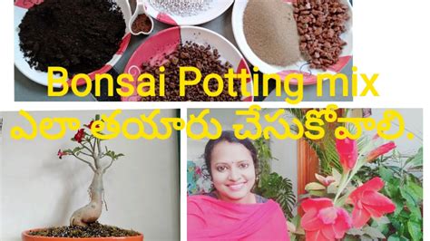 For discussion of bonsai soil mixes and fertilizer, as well as specialty chemicals like rooting hormones, insecticides, and fungicides. Bonsai Potting mix preparation at home/Bonsai Soil mix/# ...