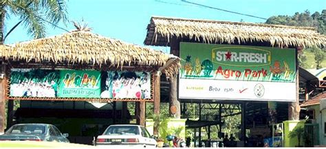 Hotel ini mula di buka pada tahun 2015 dan di bina susur atur nya menjadi bunga raya. Tempat Menarik di Port Dickson | Senarai Hotel Murah Malaysia