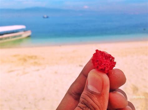 Pink Beach In Zamboanga Philippines Is One Of The Best Beaches In The
