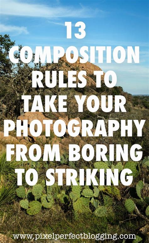 A Cactus With The Words 13 Composition Rules To Take Your Photography