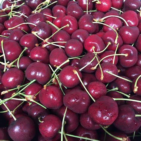 Canadian Staccato Red Cherry Box 5kg — Momobud