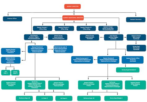 Organization Structure