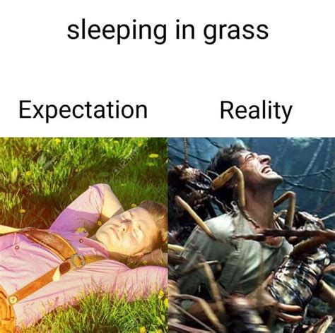 Sleeping In Grass Expectation Reality Meme